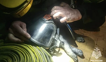 В Ефремове при пожаре эвакуировали десять человек и спасли кота