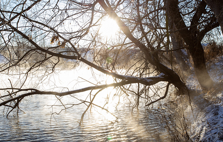 20-градусный мороз накроет Тульскую область в субботу, 31 января