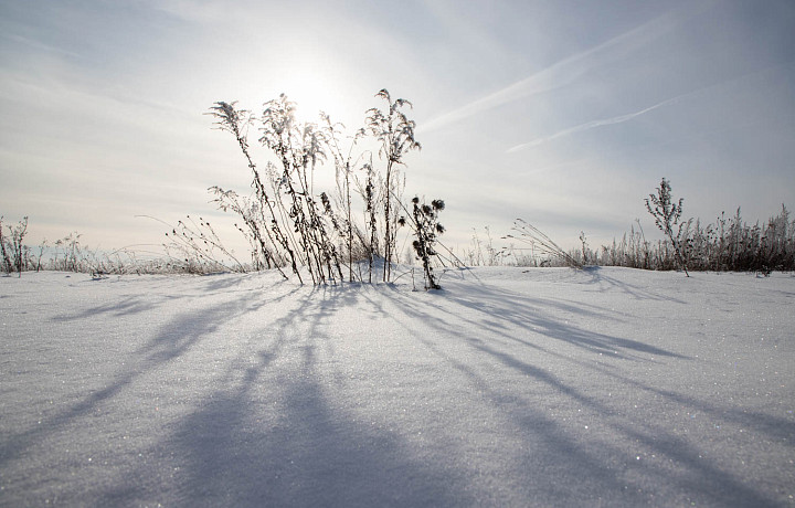 На Солнце зафиксировано шесть мощных вспышек класса М