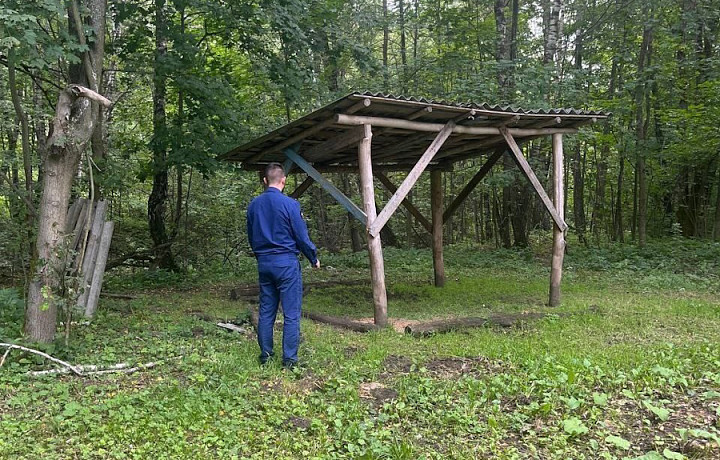 Тульская прокуратура выявила нарушения в охотхозяйстве «Ясногорье»