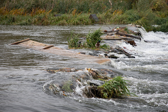 На разработку проекта по расчистке русла реки Упа в Туле выделят пять миллионов рублей