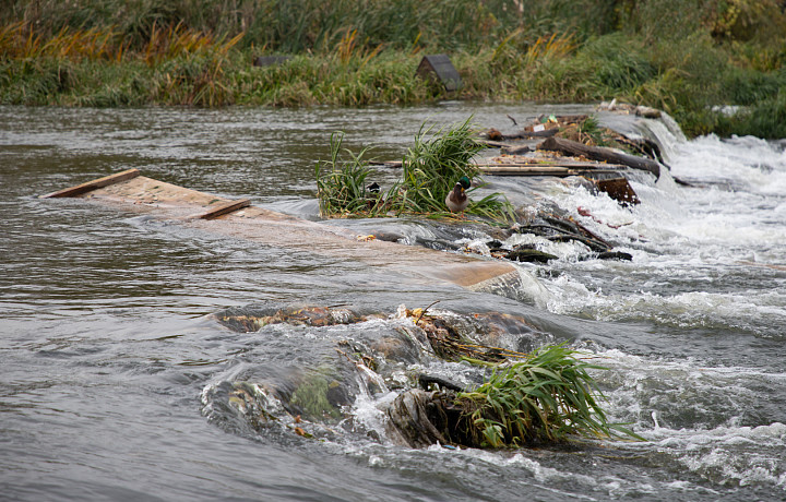 На разработку проекта по расчистке русла реки Упа в Туле выделят пять миллионов рублей
