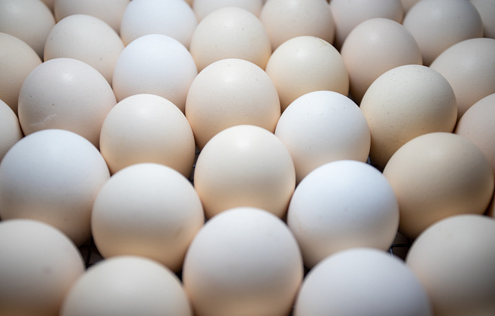 ФАС завела еще четыре дела на производителей яиц из-за роста их стоимости
