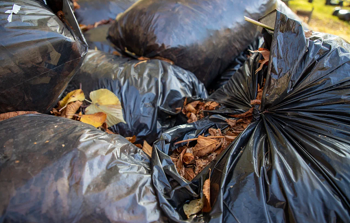 В Донском по требованию прокуратуры ликвидировали несанкционированную свалку на берегу реки Бобрики