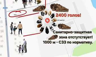 «Экобой» по-ненашенски: жители Заокского района борются с навозными стоками от агрокомплекса