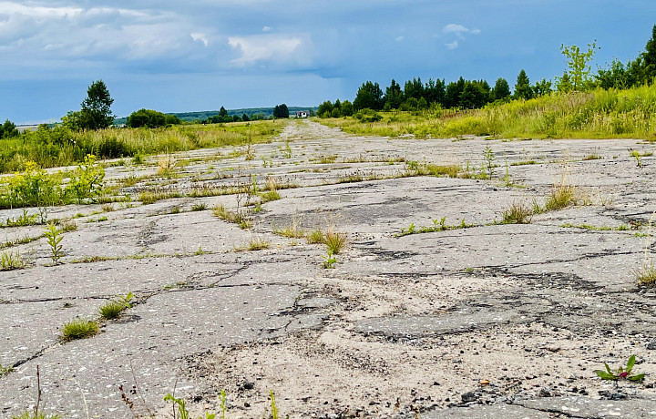 Растёт земляника и пасутся коровы: как выглядит взлётная полоса тульского аэропорта через 30 лет после закрытия