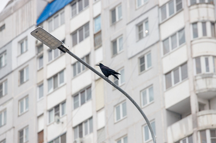 В Туле завершилась реконструкция первой половины Московского путепровода