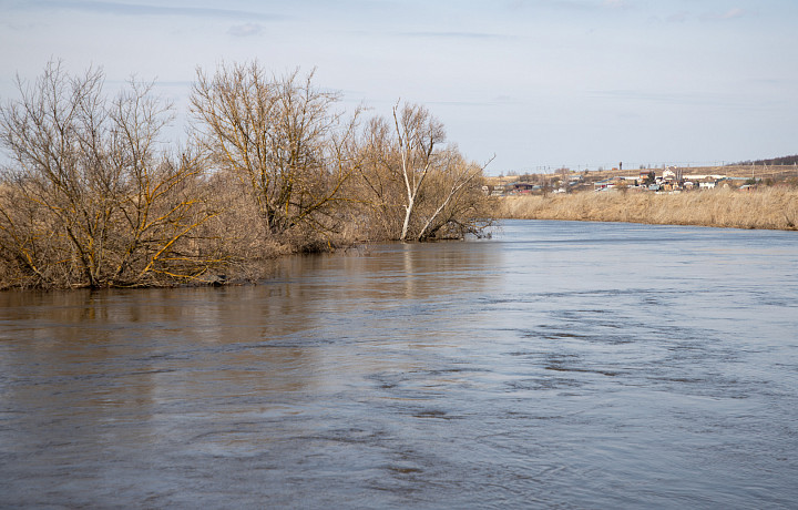 Уровень воды в реке Ока в Алексине упал на метр
