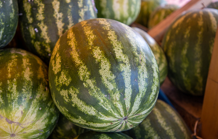 Специалисты рассказали, как выбирать арбузы и дыни