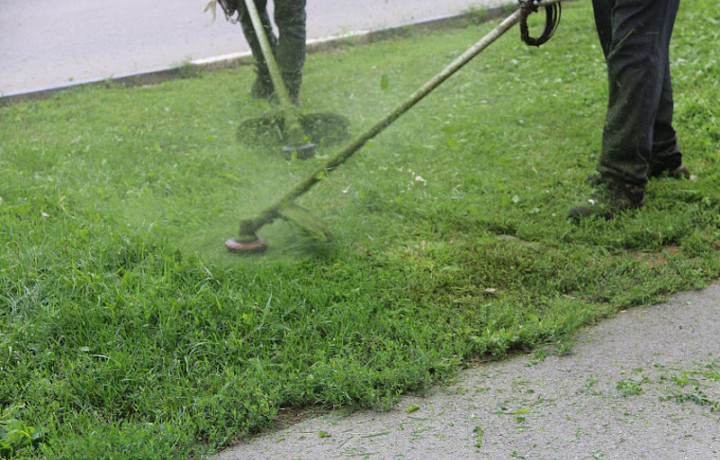 Тулякам рассказали, как часто в городе проводят окос травы