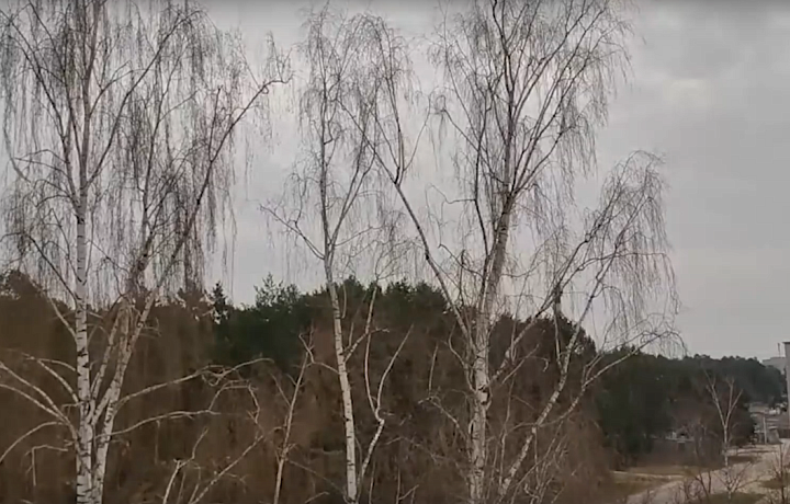 Жители Алексина сняли на видео момент перехода самолёта на сверзвук