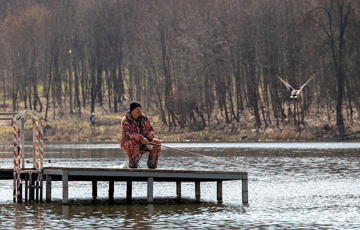 Погодные качели с аномальным теплом и заморозками ждут жителей Тульской области в начале апреля