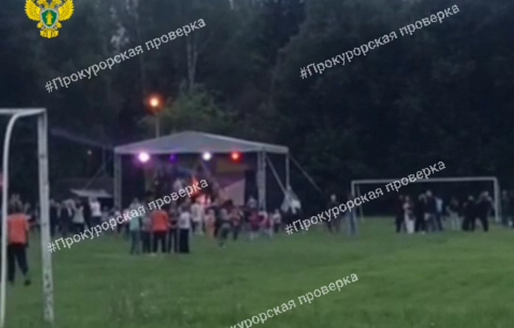 Прокуратура опубликовала видео с места падения футбольных ворот на 10-летнюю девочку в тульском Куркино