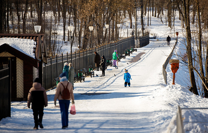 Потепление и солнце: синоптик Ильин озвучил прогноз погоды в Туле и области на выходные, 1 и 2 марта