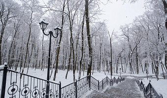 23 января: какой праздник отмечают сегодня, этот день в истории России и Тулы