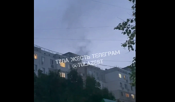 В пожаре на улице Демонстрации в Туле погибла женщина