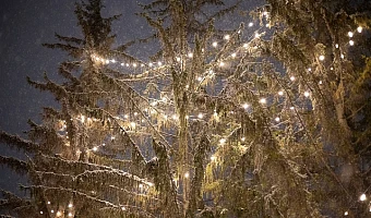 В ночь на 24 декабря в Тульской области похолодает