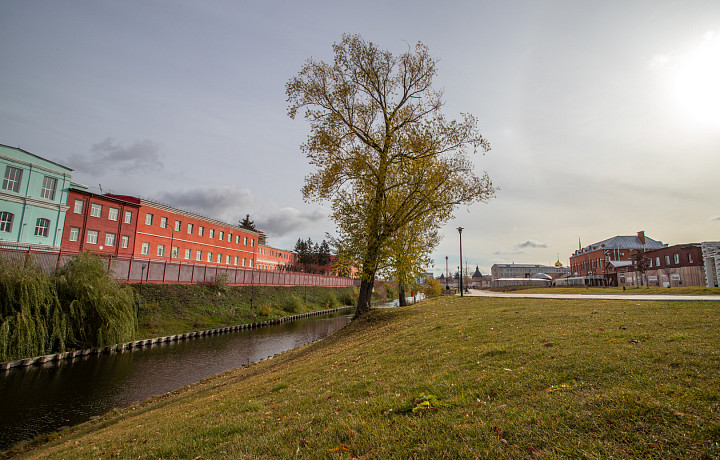 Пасмурно, но тепло: озвучен прогноз погоды в Туле и области на понедельник, 8 сентября