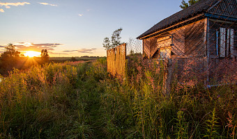 Собственника 78 га земли в Тульской области оштрафовали за зарастание участка