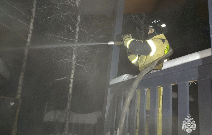 За сутки спасатели потушили четыре пожара в Тульской области