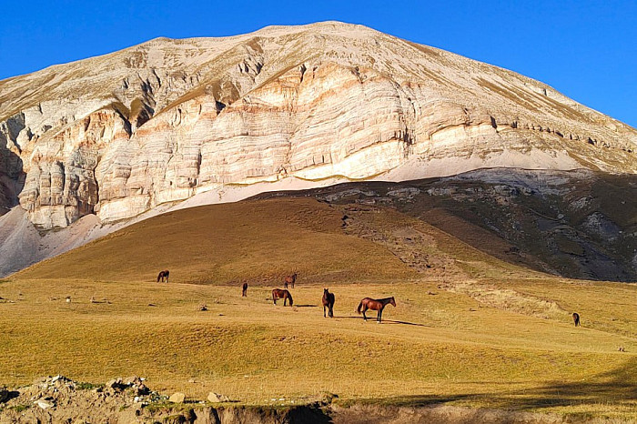 Тулячка путешествует на велосипеде по всему миру: добиралась до Индии и под впечатлением от российского Севера