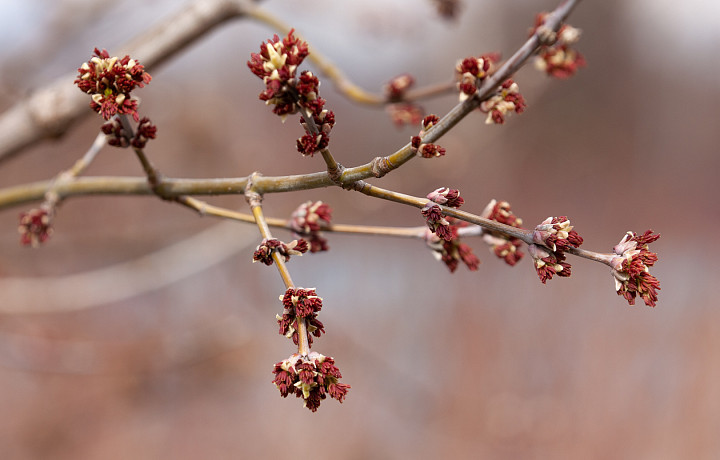 Прогноз погоды на май: летнее тепло может придти в Тульскую область в конце месяца