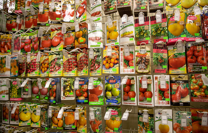 Когда сажать рассаду: советы опытного садовода