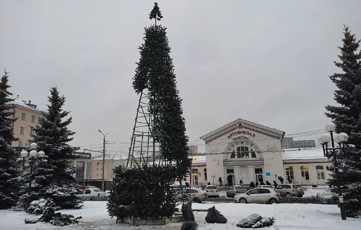 На площади Победы в Туле началась установка елки