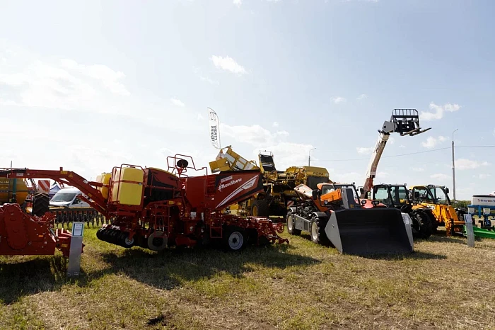 Аргентинцы, сладости и многокилометровая выставка: как проходит «День поля» в Тульской области