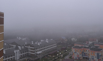 Туляков предупредили о сильном тумане и гололедице на дорогах 16 декабря