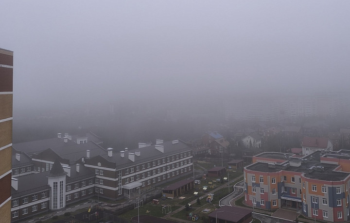 Туляков предупредили о сильном тумане и гололедице на дорогах 16 декабря