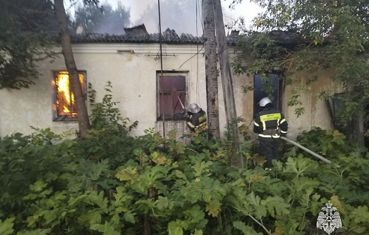 Тульские спасатели 30 августа потушили три пожара