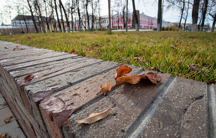 Пасмурная и прохладная погода ожидается в Туле и области 29 сентября