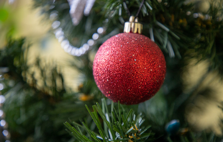 Туляки начали предлагать услуги по украшению новогодних елок за 5 тысяч рублей