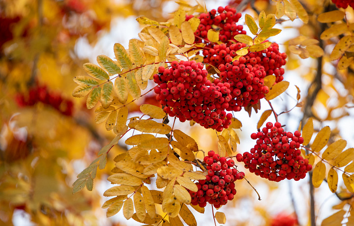 Тулякам рассказали о приметах и запретах на 23 сентября