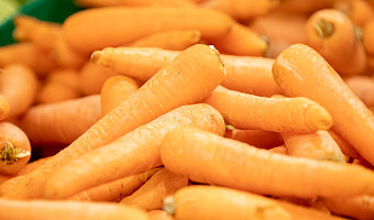 Главный тульский гастроэнтеролог раскрыла секреты здорового пищеварения