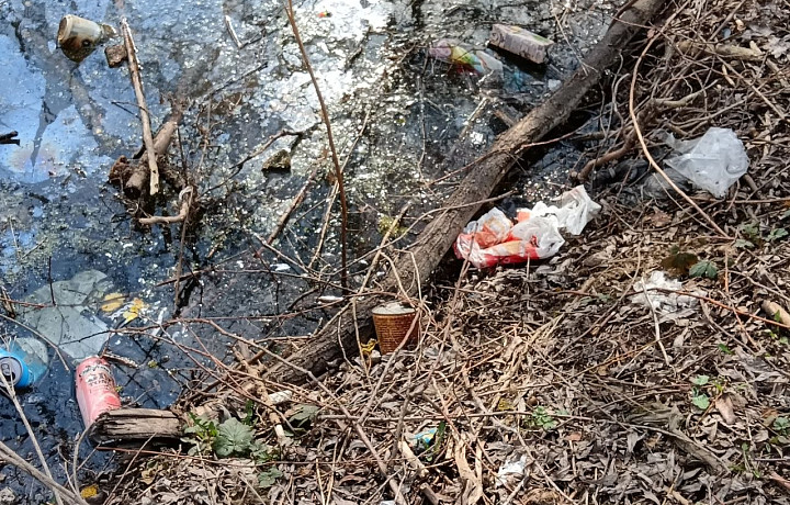 Жители Тулы обратили внимание на ужасное состояние пруда в Мясново, где жили редкие черепахи