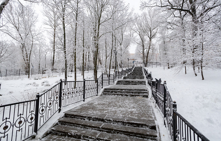 Солнце и тепло могут прийти в Тульскую область в грядущие выходные, 24 и 25 декабря