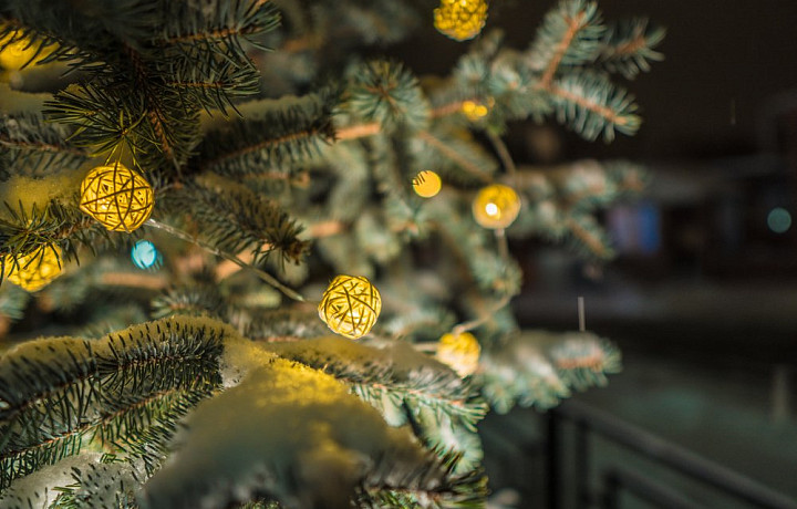 Роспотребнадзор дал рекомендации о том, как выбрать елочную гирлянду