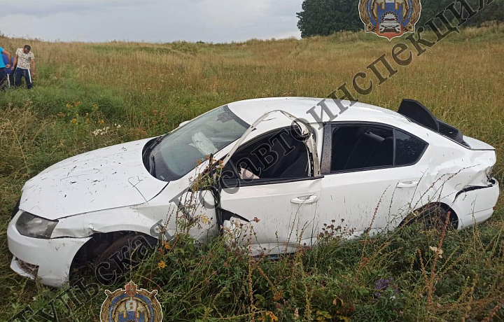 В аварии в городском округе Ефремов погиб 35-летний водитель Skoda Octavia