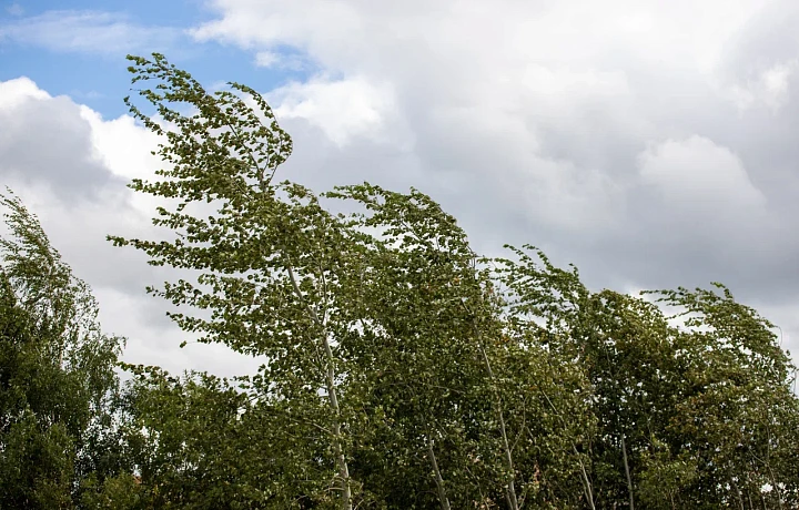 В Туле 12 мая ожидается до +15 градусов и облачная погода