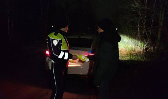 В Тульской области 183 пешехода наказаны за нарушения ПДД