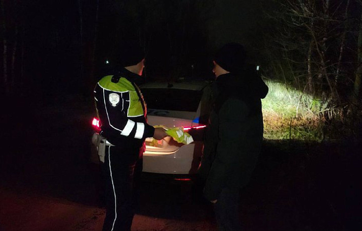 В Тульской области 183 пешехода наказаны за нарушения ПДД