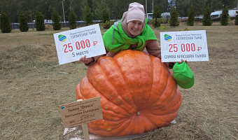 Тыкву-гиганта, выращенную в Туле, признали самой красивой на всероссийском конкурсе