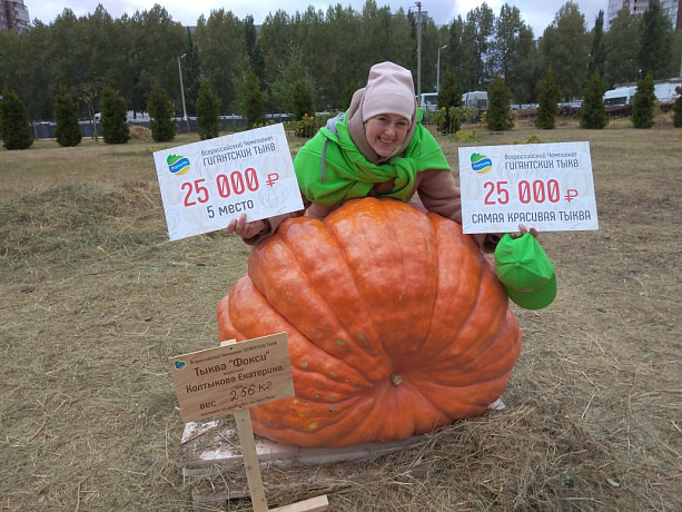 Тыкву-гиганта, выращенную в Туле, признали самой красивой на всероссийском конкурсе
