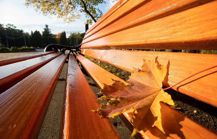 В Туле 29 сентября будет солнечно и потеплеет до +25 градусов