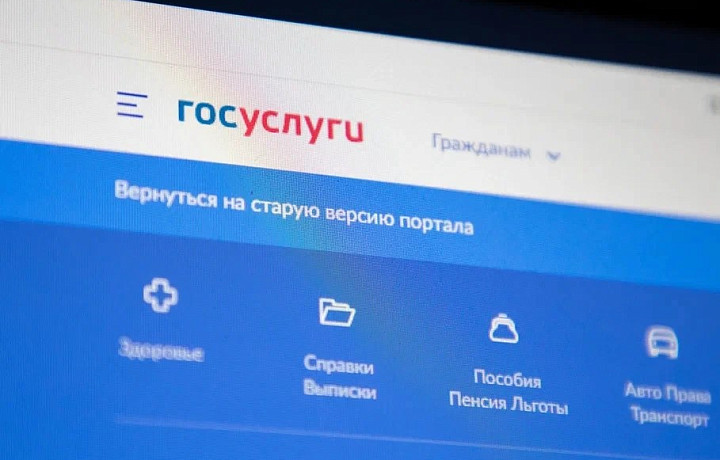 Туляки подали более 102 тысяч заявок на портал «Госуслуги 71» за полгода