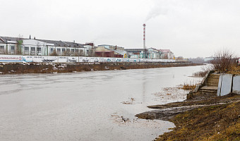 Уровень воды упал на реке Упа в Тульской области
