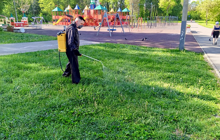 В тульских парках проведут акарицидную обработку с 28 по 30 июня