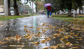 Жителей Тулы и области ждет дождливый день в субботу, 25 октября